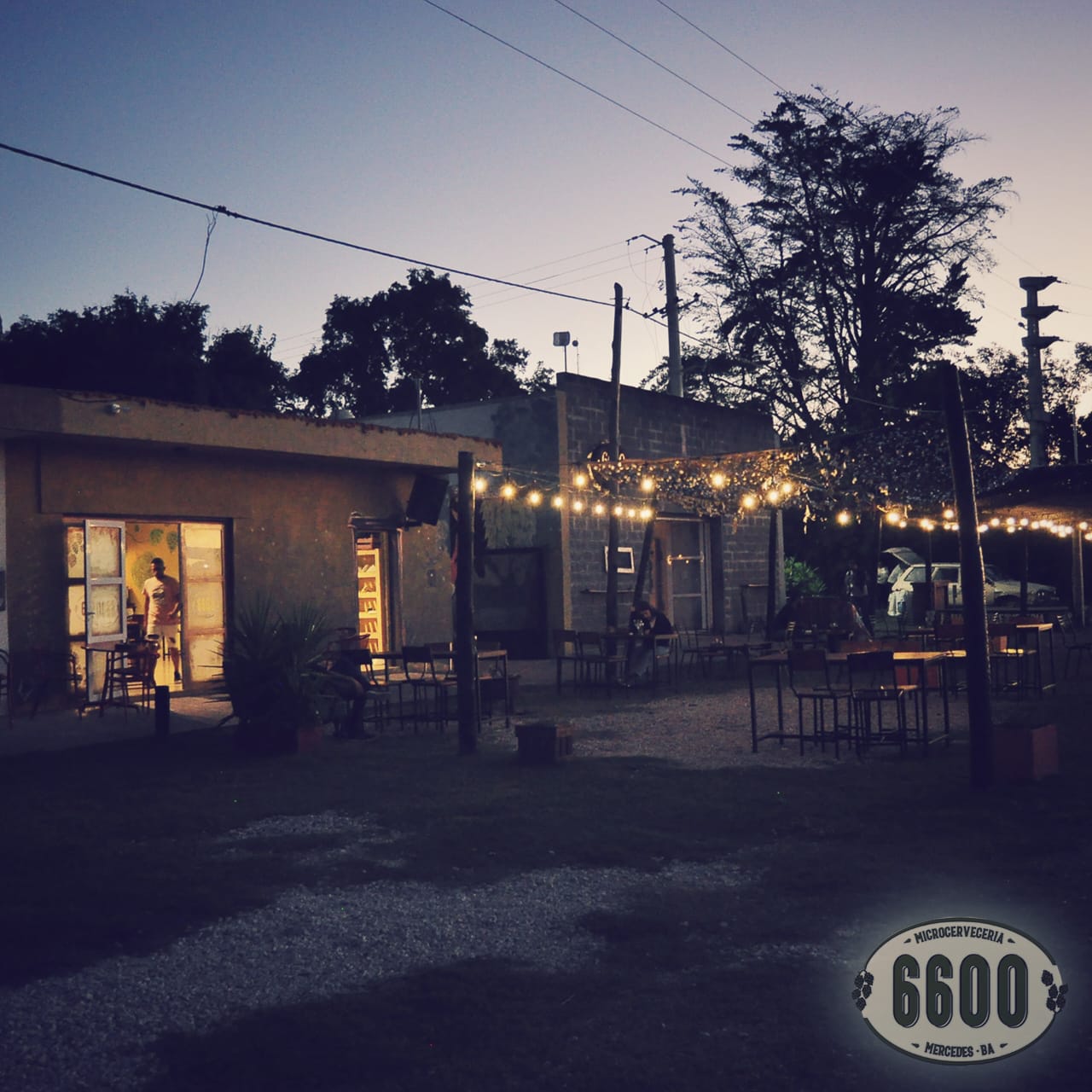 MICROCERVECERIA 6600